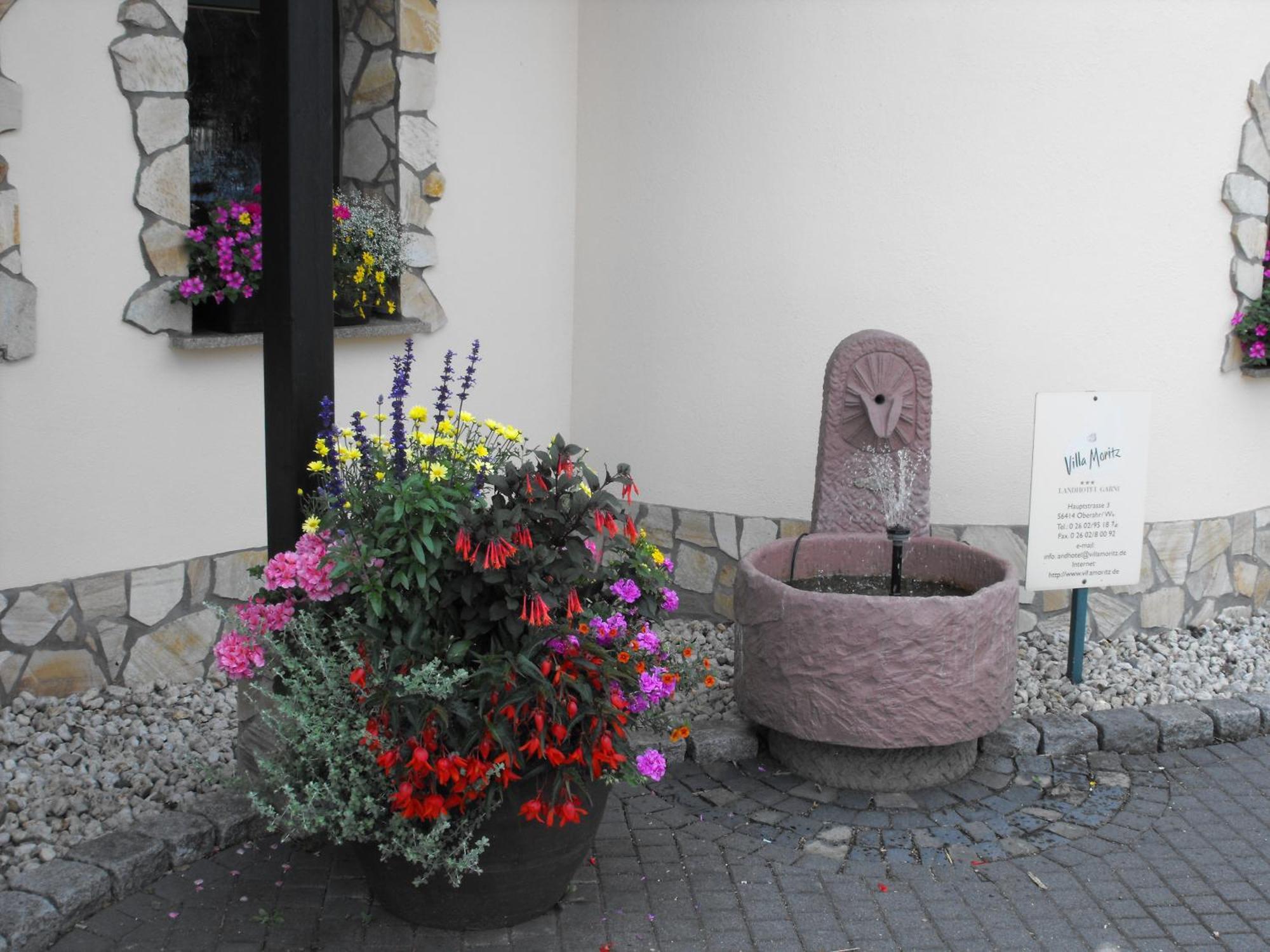 Landhotel Villa Moritz Garni Oberahr Εξωτερικό φωτογραφία